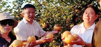 庆祝2021中国农民丰收节牛山园“庆丰收 听党话 感恩党 跟党走”首届一县一品金秋梨采摘仪式！