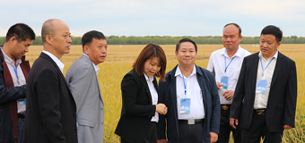 北大荒 ：农业从规模化向品牌化发展的积极探索——协会党支部书记、副会长张平一行赴黑龙江调研生物可降解覆膜种植技术推广进展情况纪实